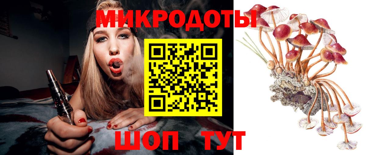 Спасск-Дальний  Галлюциногенные грибы Magic Shrooms  Вход с VPN 